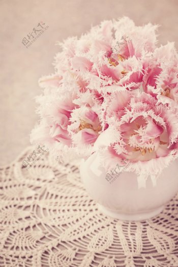 美丽花瓶鲜花摄影图片
