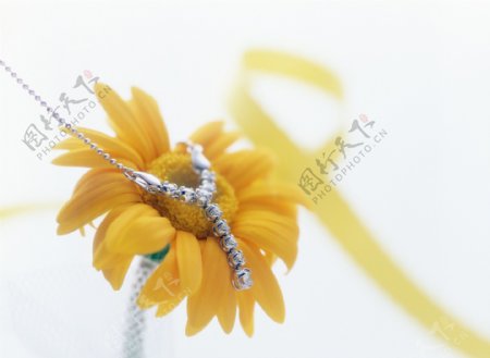 一朵黄花上的钻石项链图片