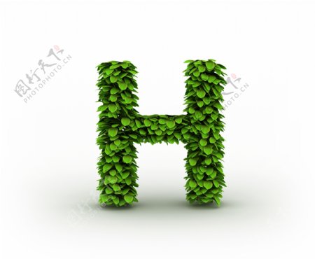 绿叶组成的字母H图片