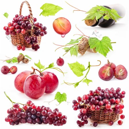 新鲜的水果葡萄图片
