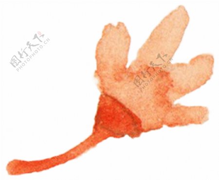 钝角橘红色花朵图片素材
