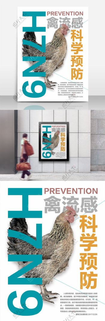 科学预防禽流感卫生宣传展板