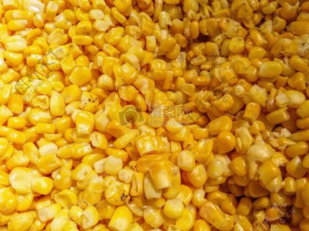黄色的玉米高清特写
