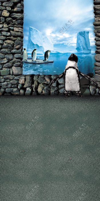 南极冰山企鹅视觉影楼摄影背景图片