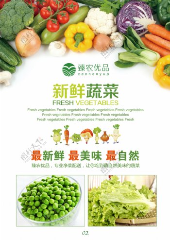 农业宣传单水果蔬菜