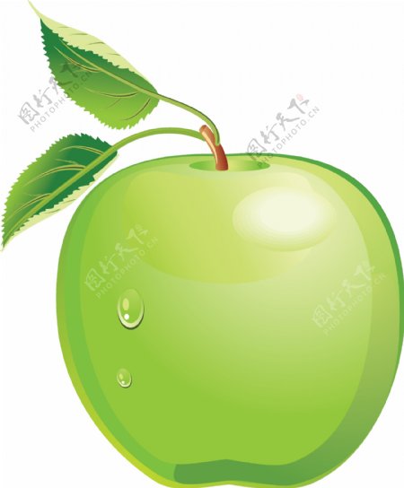 漂亮手绘绿苹果图片免抠png透明图层素材