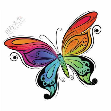 明亮色彩蝴蝶插图矢量图形