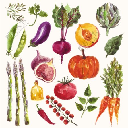 素描手绘水果食物矢量图