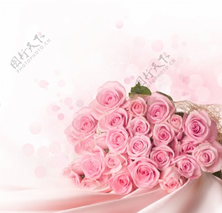 丝绸上的粉色玫瑰花图片