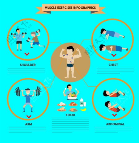肌肉锻炼信息图