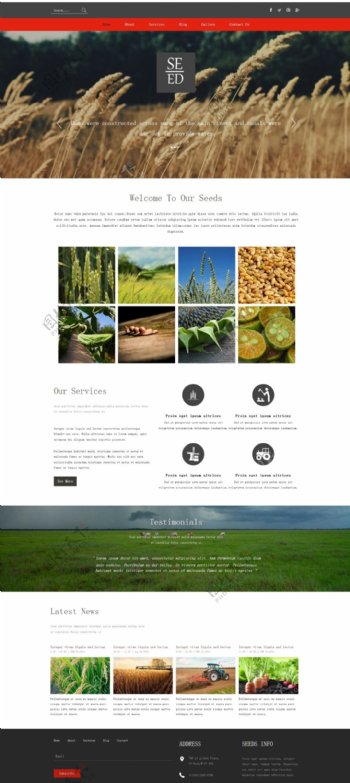 农产品企业网站模板