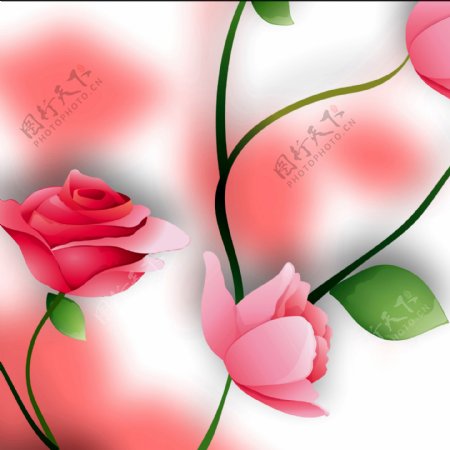 高清粉色玫瑰装饰画