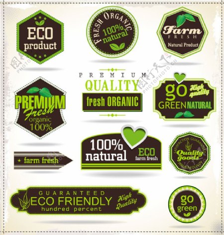 绿色健康标签图片