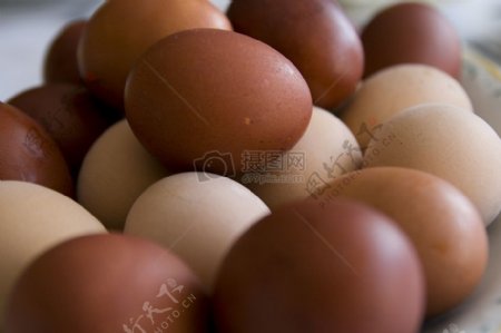 一堆新鲜的鸡蛋