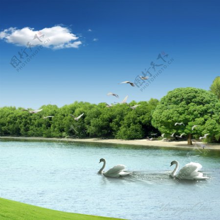湖面风景装饰画