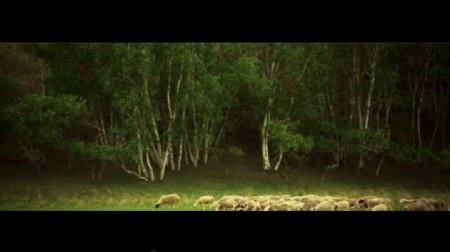 蒙古草原风光视频素材