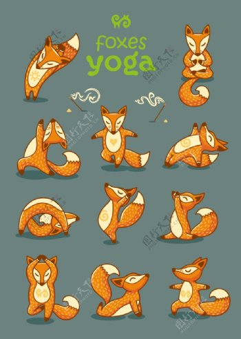 动物瑜伽健身狐狸姿势矢量图