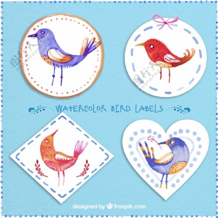4款水彩绘鸟类标签矢量素材