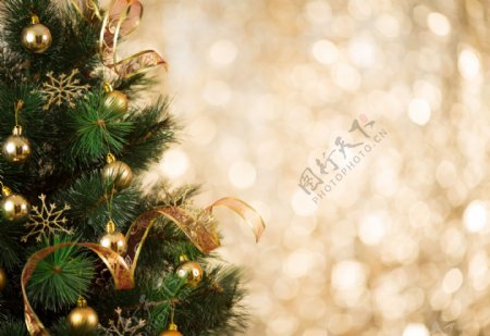 圣诞树丝带与梦幻光斑图片