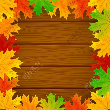 秋天枫叶木板背景图片