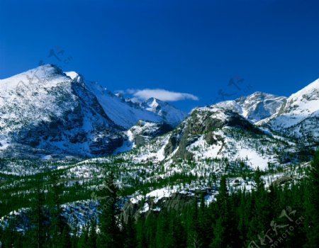 高山与森林积雪图片图片