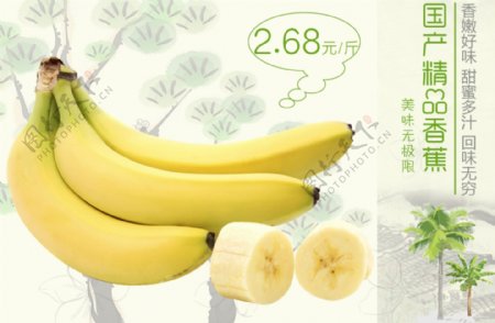 香蕉新品上市特价促销海报