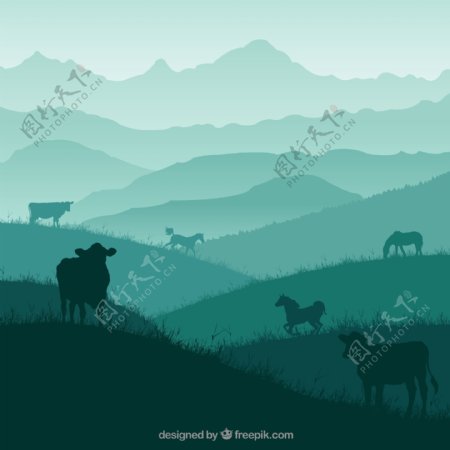 牛和马轮廓