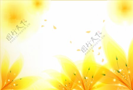 黄色花朵花纹底纹图片