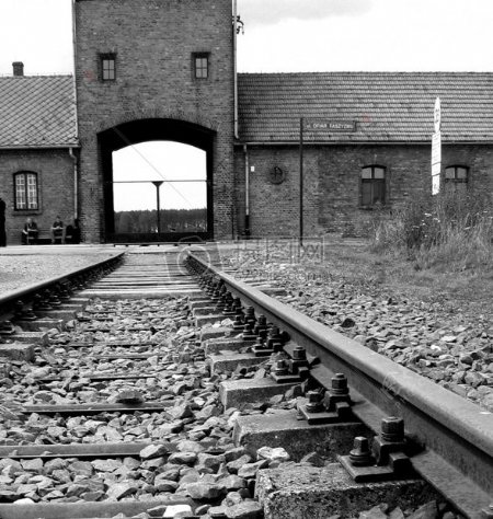 AuschwitzTrainTracksn.jpg