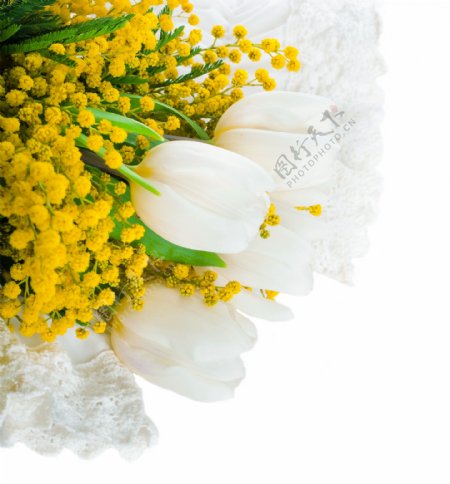 黄色与白色花束图片