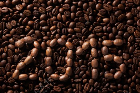 咖啡豆与2015图片