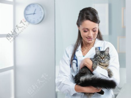抱着猫的女兽医图片