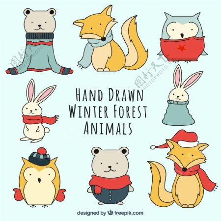穿着冬季服装的手工绘制的动物