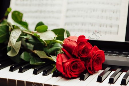 三枝玫瑰花和钢琴图片