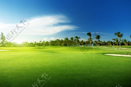 美丽高尔夫球场摄影图片