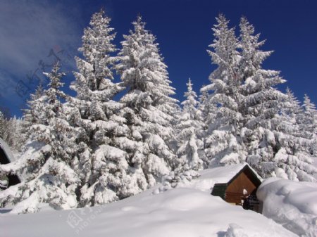 冬天雪景图片