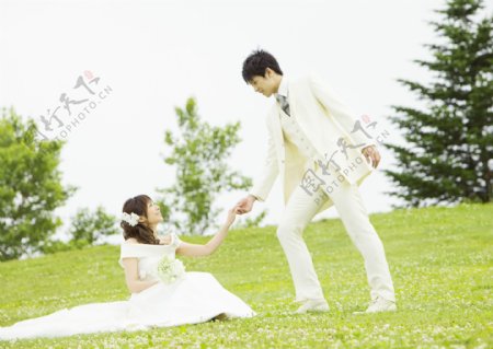草坪上的新郎新娘图片