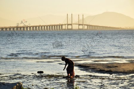 海滩桥日出马来西亚槟城