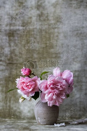 在白色陶瓷花瓶粉红色的花朵