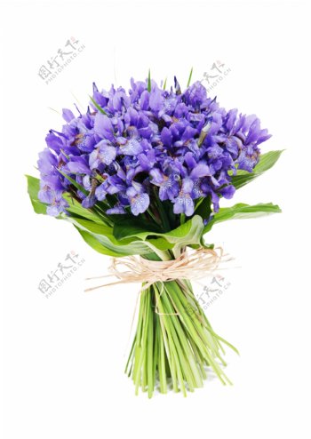 蓝色鲜花花束图片