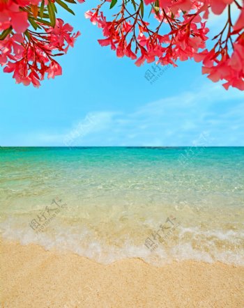 蓝海与沙滩图片