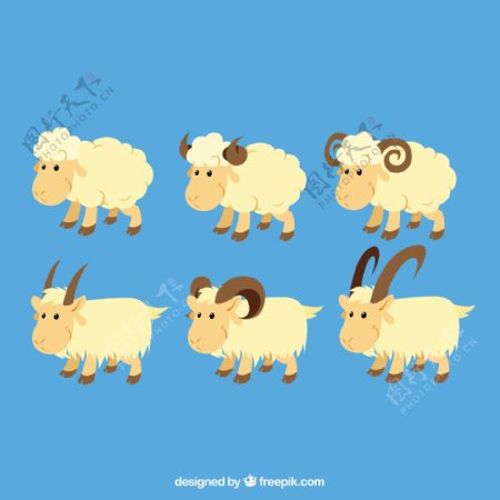 绵羊和山羊的插图