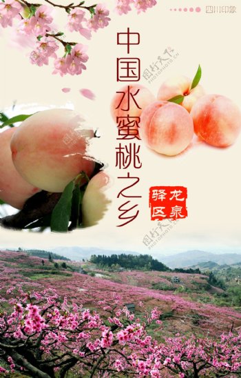 中国水蜜桃之乡