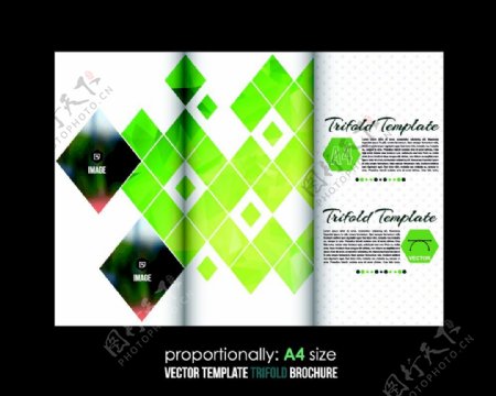 绿色菱形背景折页设计图片