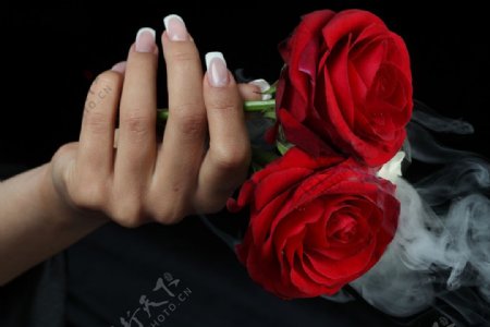 拿玫瑰花的美女手图片