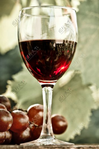 葡萄与葡萄酒图片