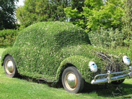 爬满植物的汽车