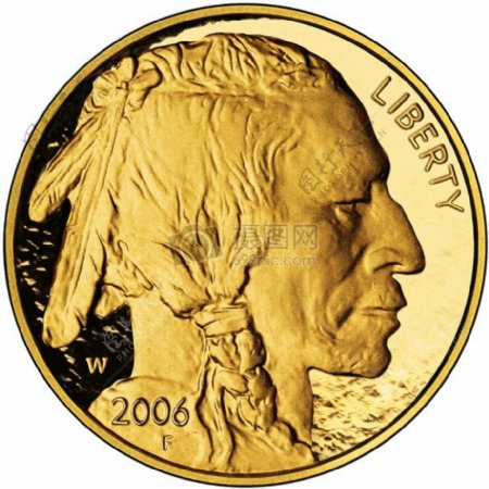 2006年硬币上的印度人头