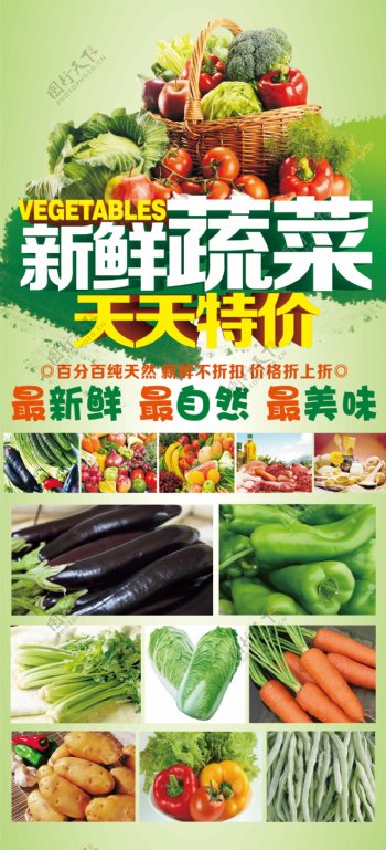 蔬菜海报单页