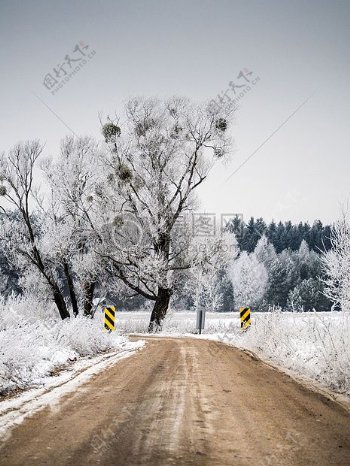 雪地里的道路